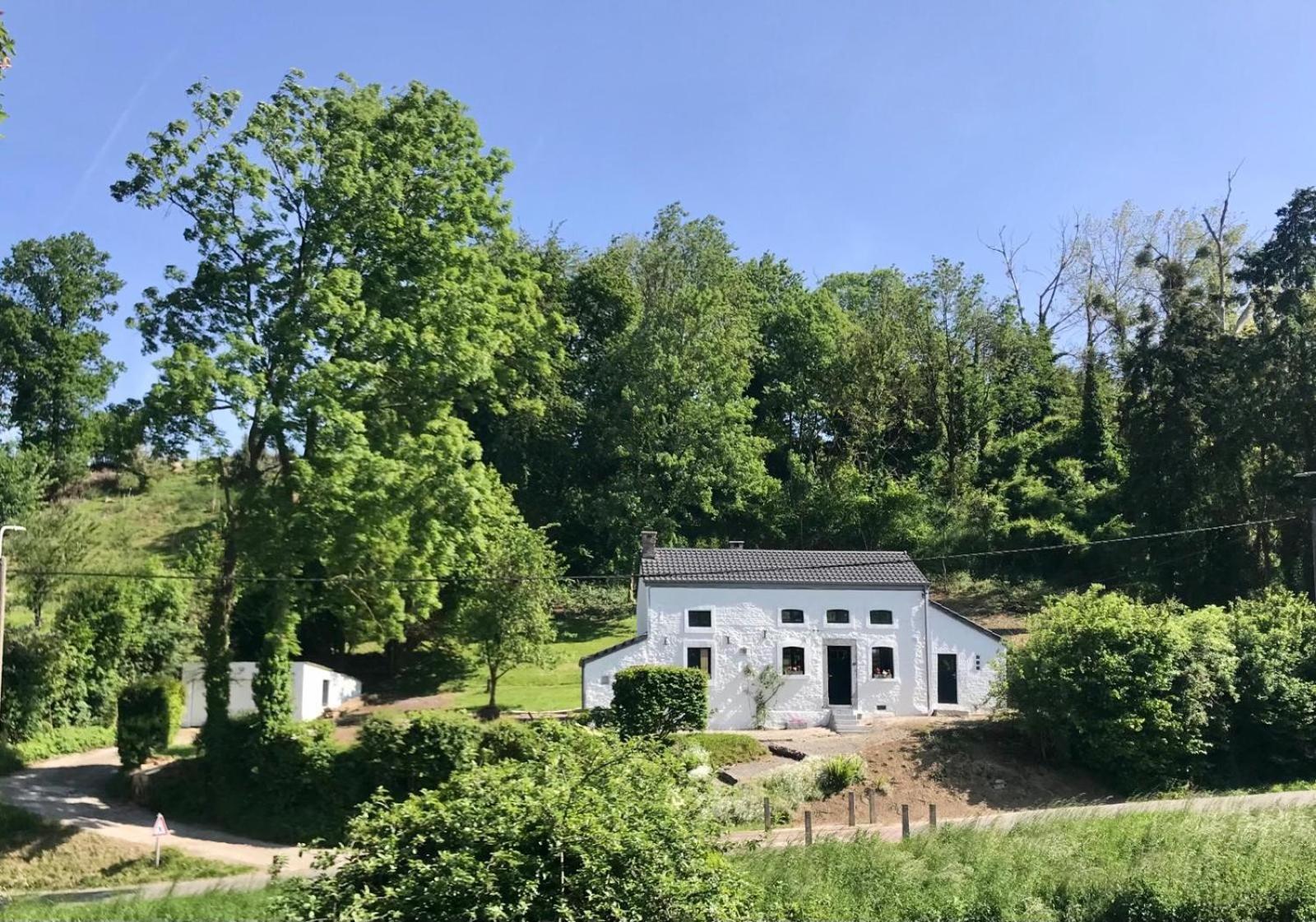 La Petite Maison Blanche Wanze エクステリア 写真