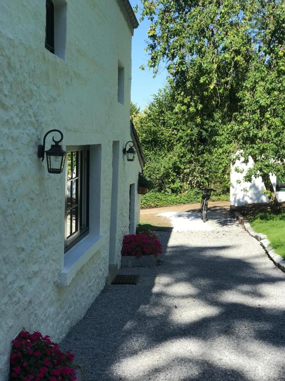 La Petite Maison Blanche Wanze エクステリア 写真