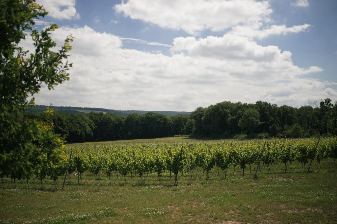 La Petite Maison Blanche Wanze エクステリア 写真