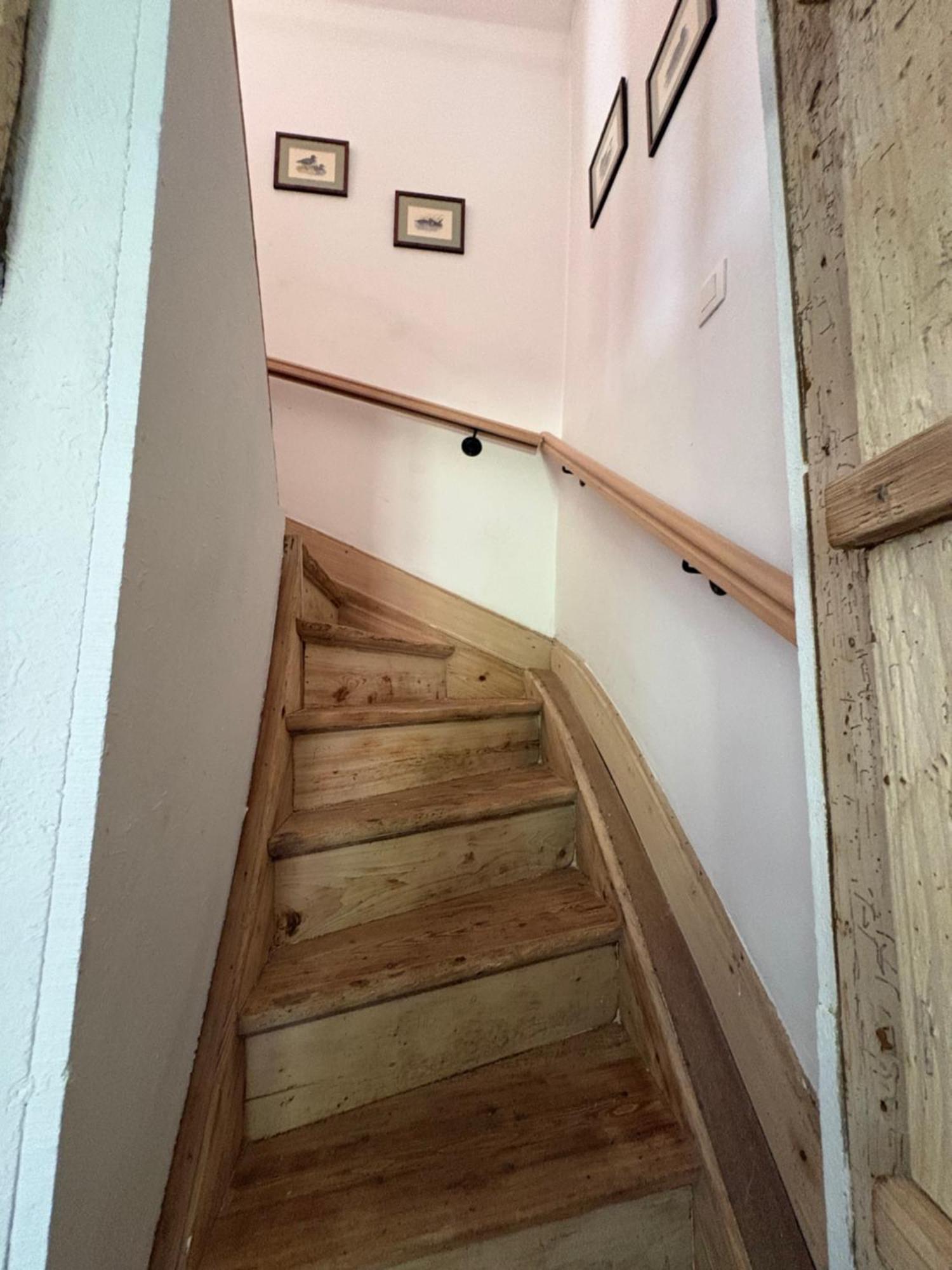 La Petite Maison Blanche Wanze エクステリア 写真